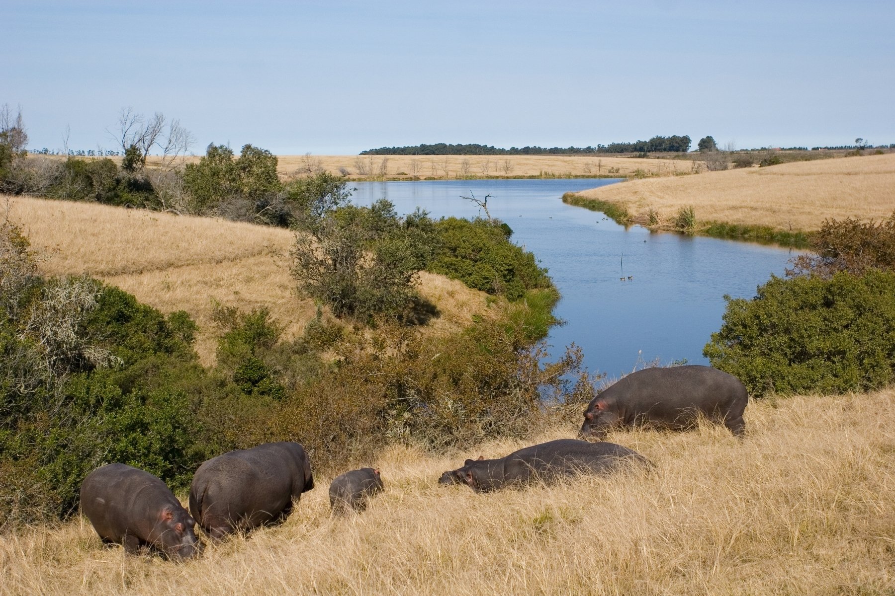 Plettenberg Bay Game Reserve In Plettenberg Bay South Africa For Sale