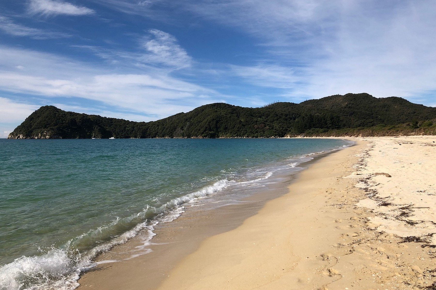 25 Awaroa Bay in Abel Tasman National Park, New Zealand for sale (10392026)