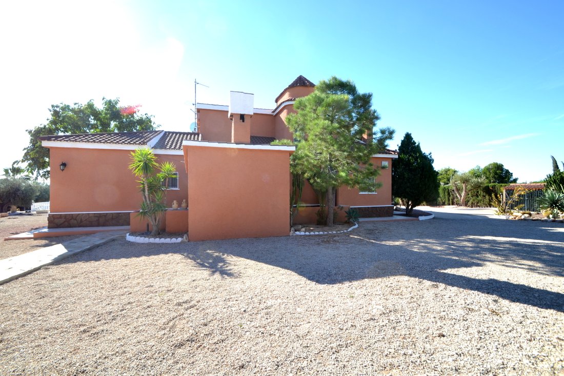 Villa in Elx / Elche, Valencian Community, Spain 3 - 10659003