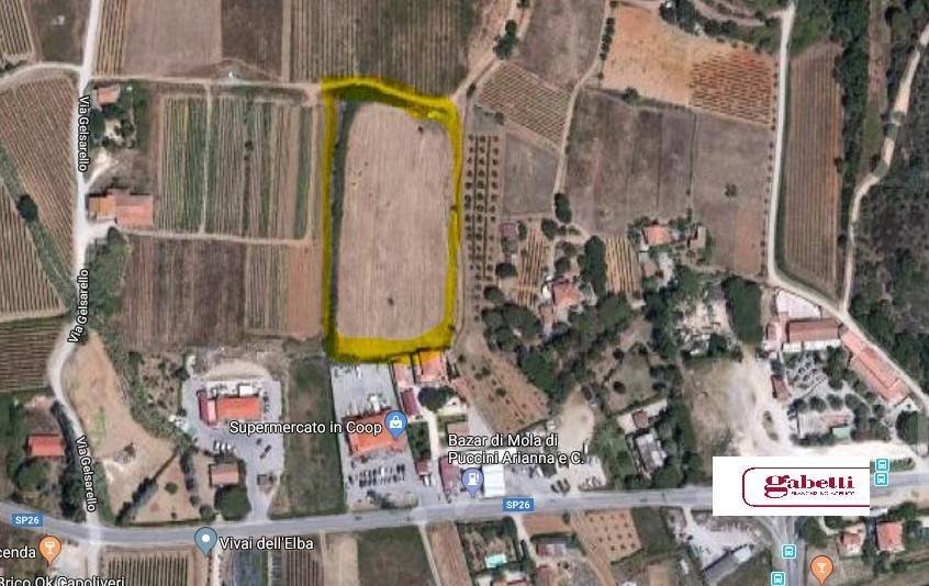 Land in Capoliveri, Tuscany, Italy 2 - 10781821