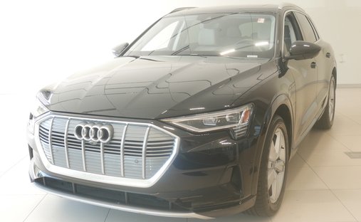 2019 Audi e-tron Premium Plus quattro in Golden valley, MN, United States 1