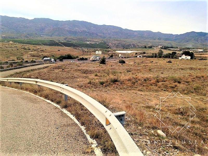 Terreno en Los Gallardos, Andalucía, España 3 - 10759651