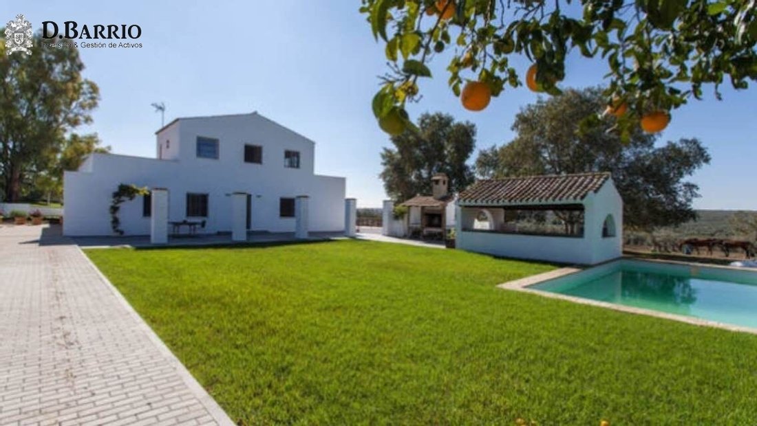 Villa in Espartinas, Andalusia, Spain 1 - 10833382
