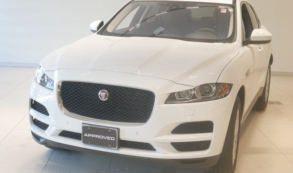 2019 Jaguar F-PACE 25t Prestige AWD (10980816)