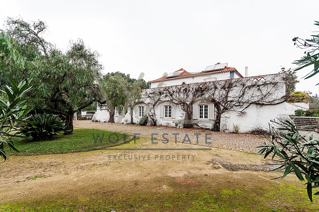 Farm Ranch in Setubal, Setubal, Portugal 5 - 10816111