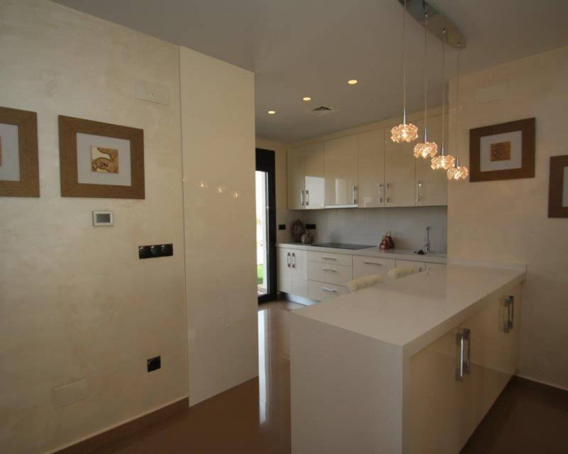Villa in San Miguel de Salinas, Valencian Community, Spain 5 - 10662657