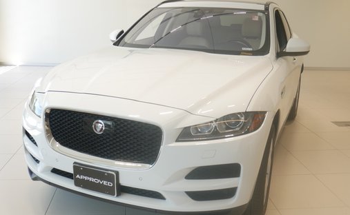 2019 Jaguar F-PACE 25t Premium AWD in Golden valley, MN, United States 1