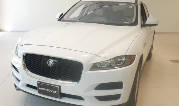2019 Jaguar F-PACE 25t Premium AWD (10988286)