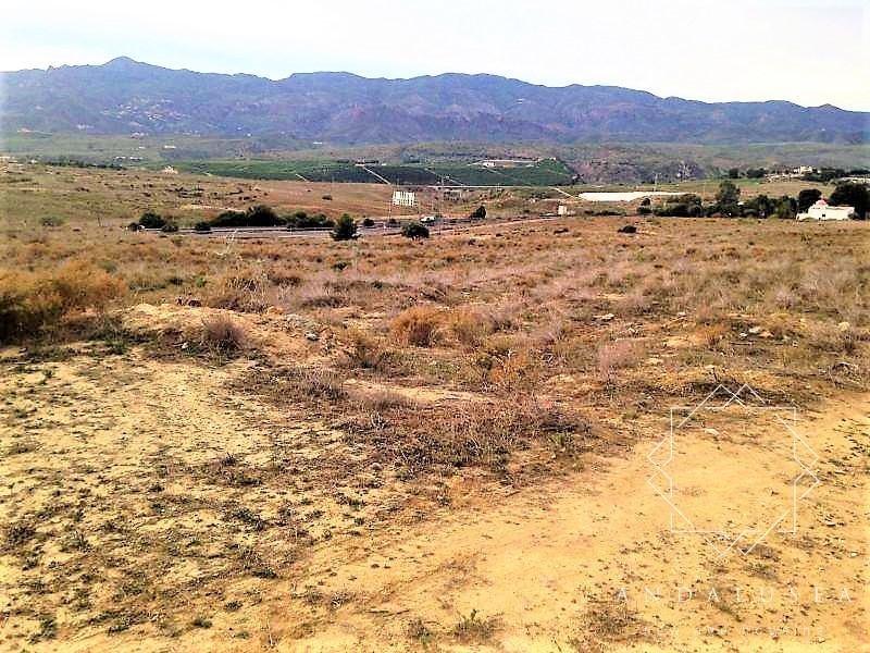 Terreno en Los Gallardos, Andalucía, España 1 - 10759651
