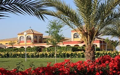 Estate in Nervion, Seville, Spain 5 - 10833367