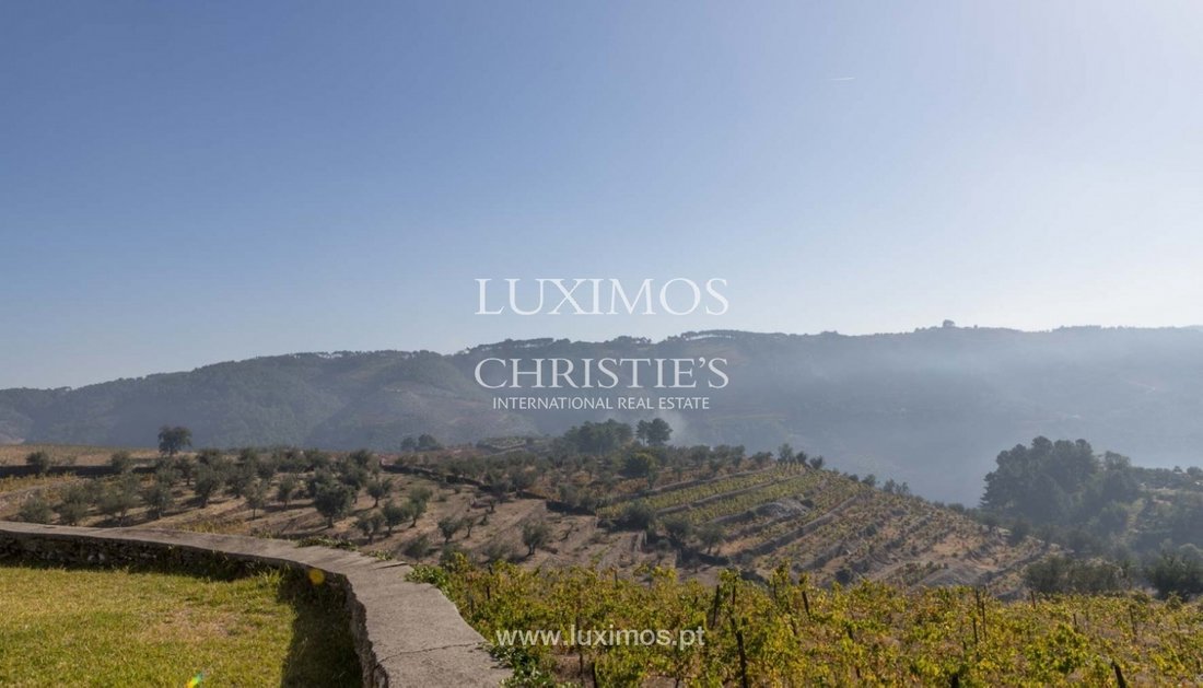 Farm Ranch in Cumeeira, Vila Real District, Portugal 2 - 10592846