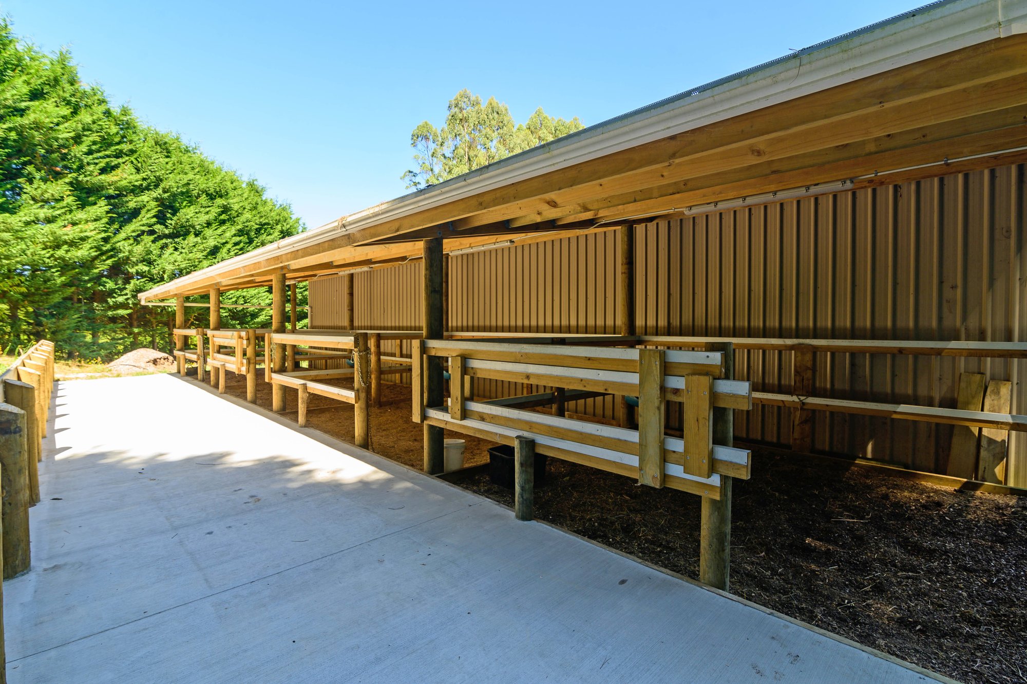 Equestrian Enthusiasts A Must in Rotorua, New Zealand for sale (10876792)