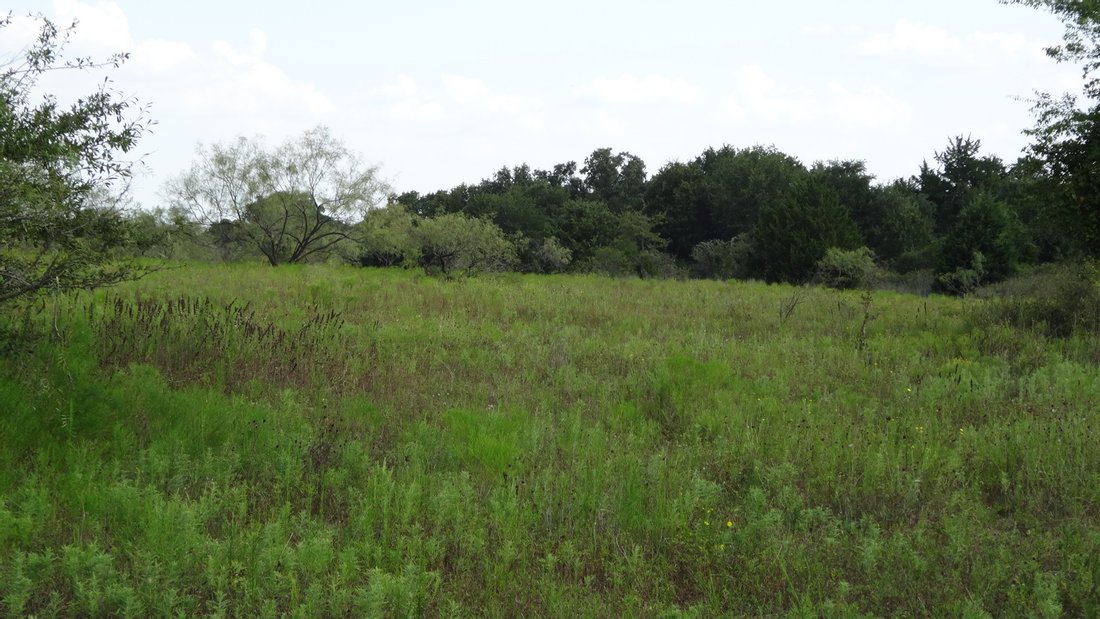 Land in Boyd, Texas, Vereinigte Staaten 5 - 10914041