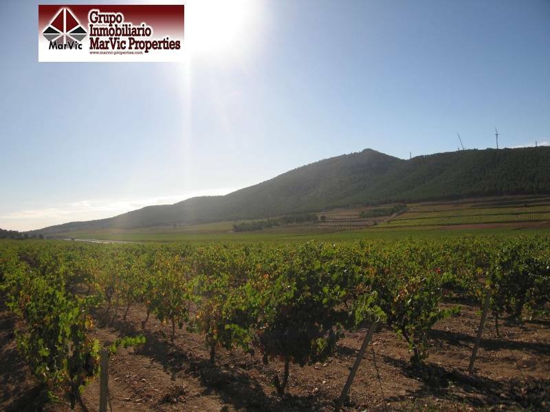 Almansa Country House In Almansa, Castile La Mancha, Spain For Sale