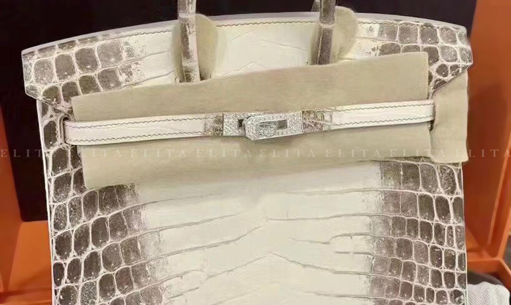 hermes birkin himalayan diamond