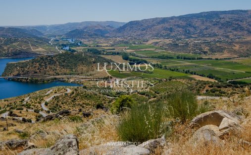 Azienda agricola a Adeganha e Cardanha, Distretto di Braganza, Portogallo 1