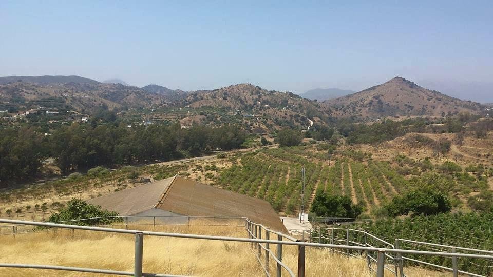 Villa in Yunquera, Andalusia, Spain 3 - 11080736