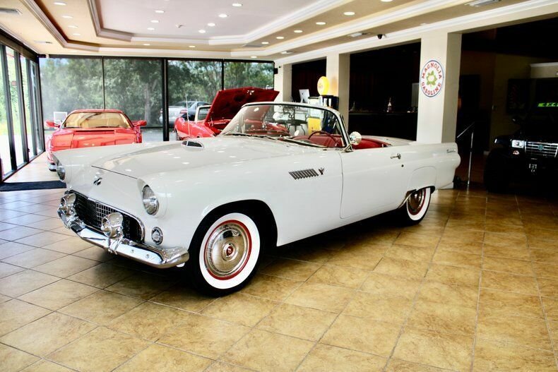 Cabriolet in Sarasota, Florida, United States 4 - 11084773