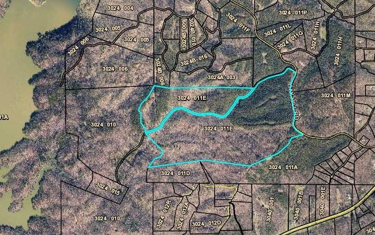 Land in Ellijay, Georgia, United States 3 - 11040684