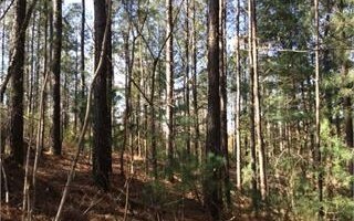Land in Ellijay, Georgia, United States 2 - 11040684