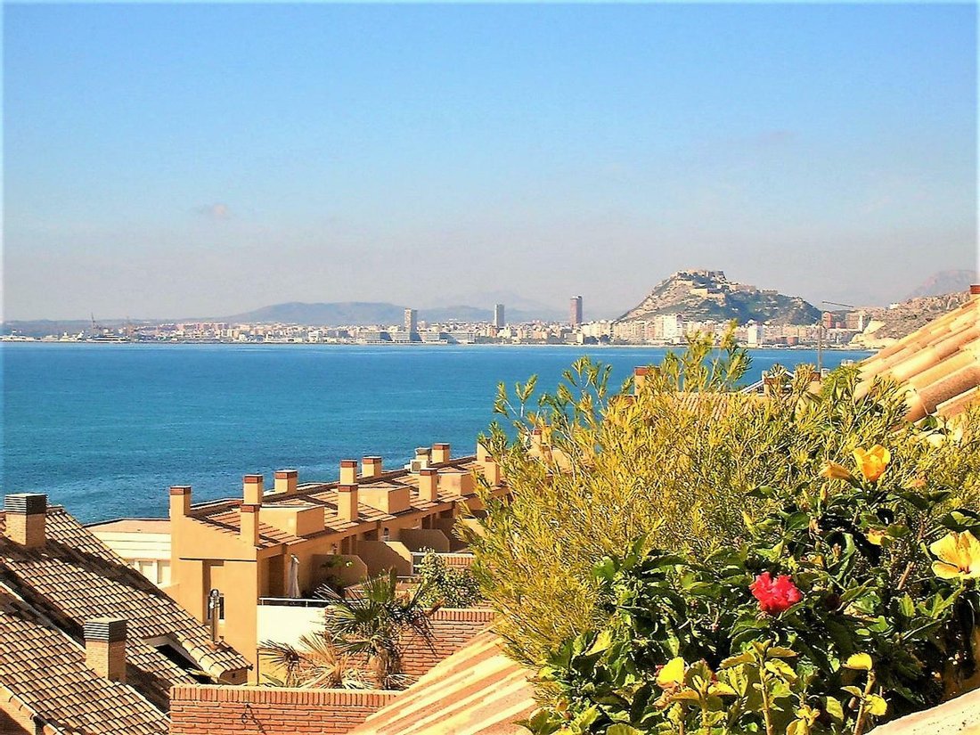 Villa in Alicante, Valencian Community, Spain 3 - 11098821