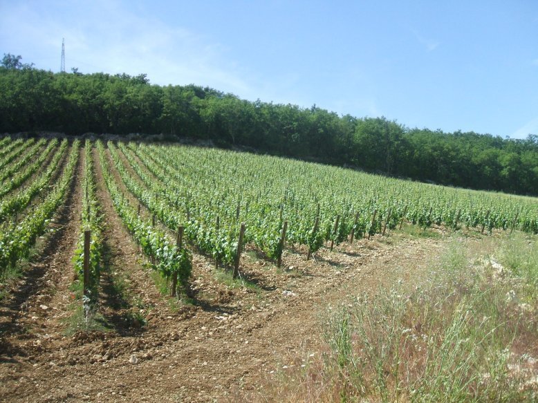 Domaine à Radda in Chianti, Toscane, Italie 3 - 11101664