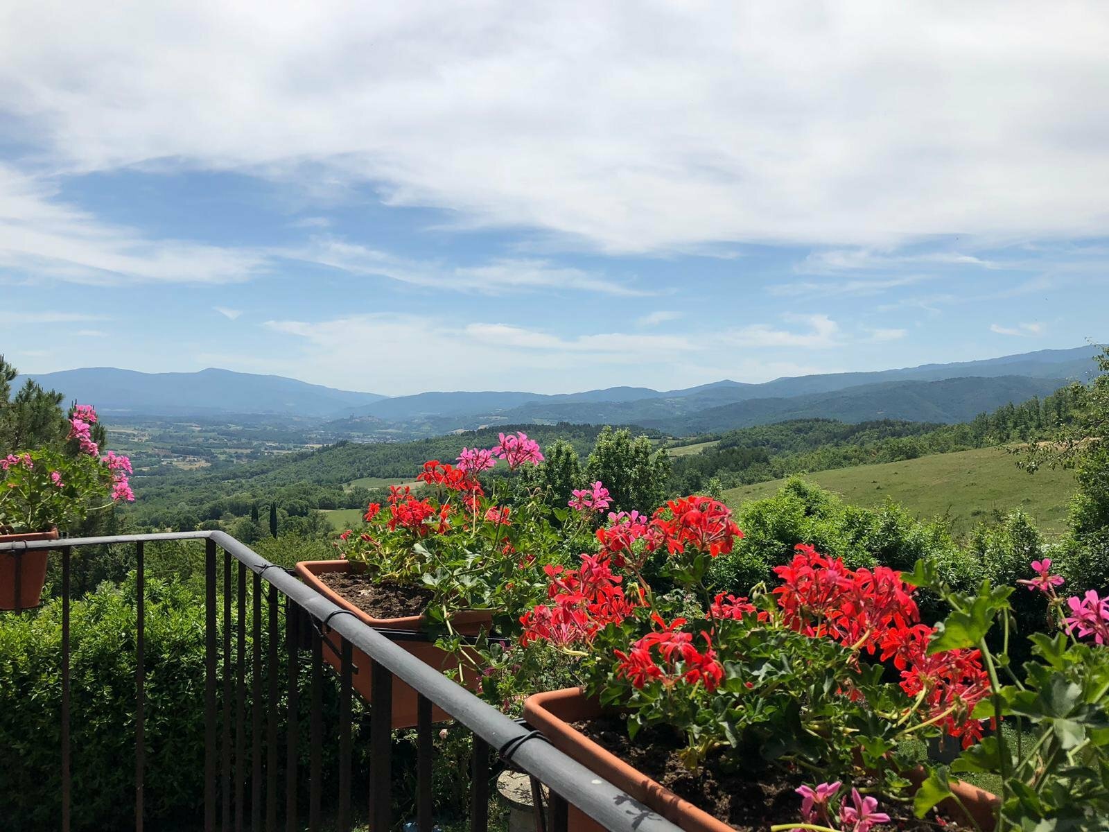 Sale Barn Pratovecchio Stia in Pratovecchio Stia, Italy for sale