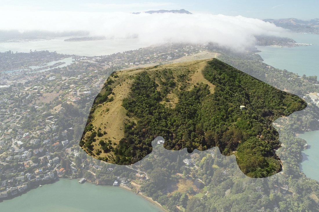 Easton Point In Tiburon, California, United States For Sale (10413150)