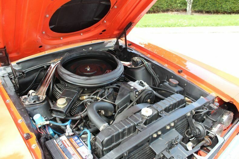 Station Estate Wagon in Sarasota, Florida, United States 2 - 11125443