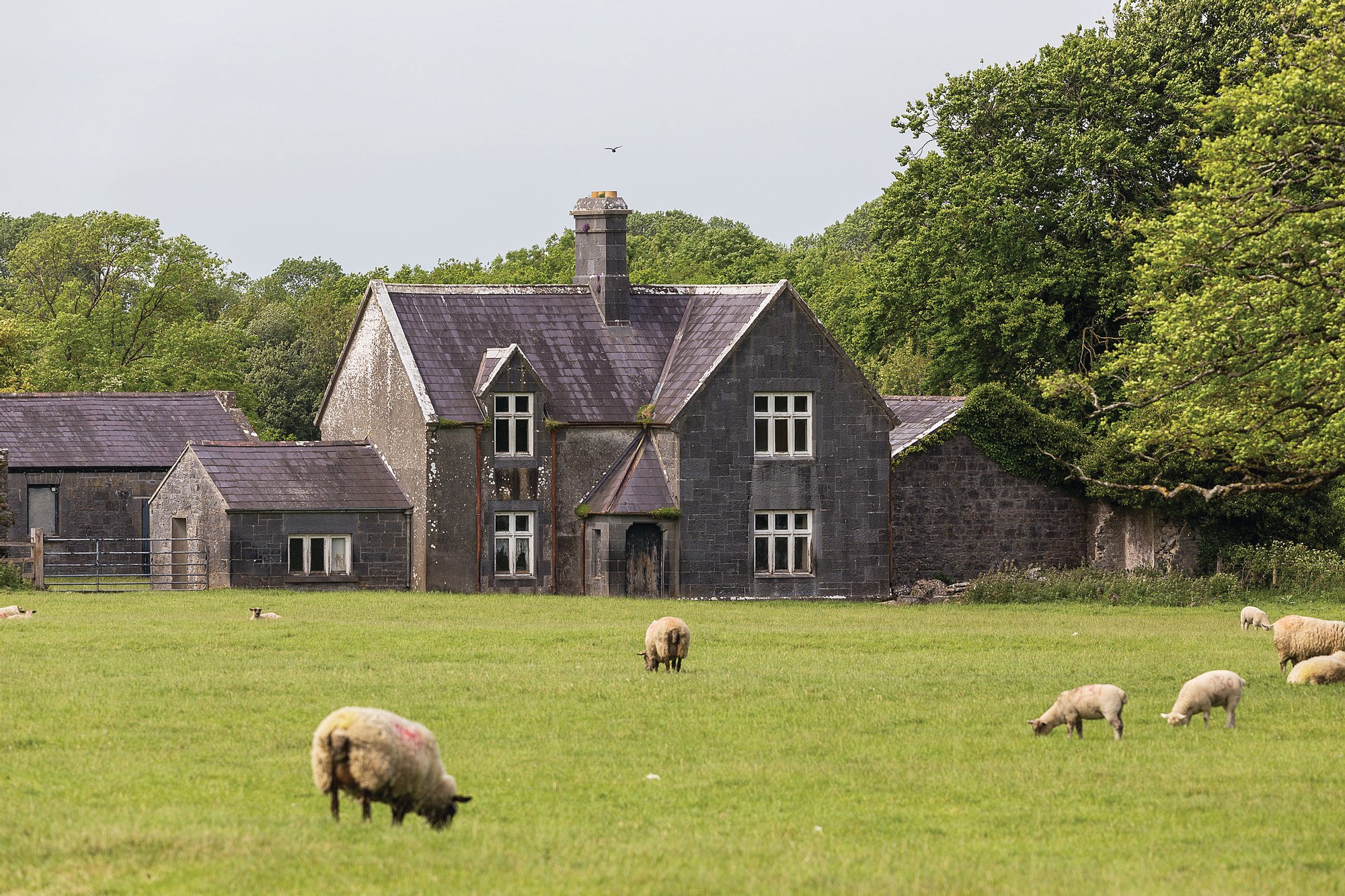 The Sopwell Hall Estate In Ballingarry, Ireland For Sale (11126127)