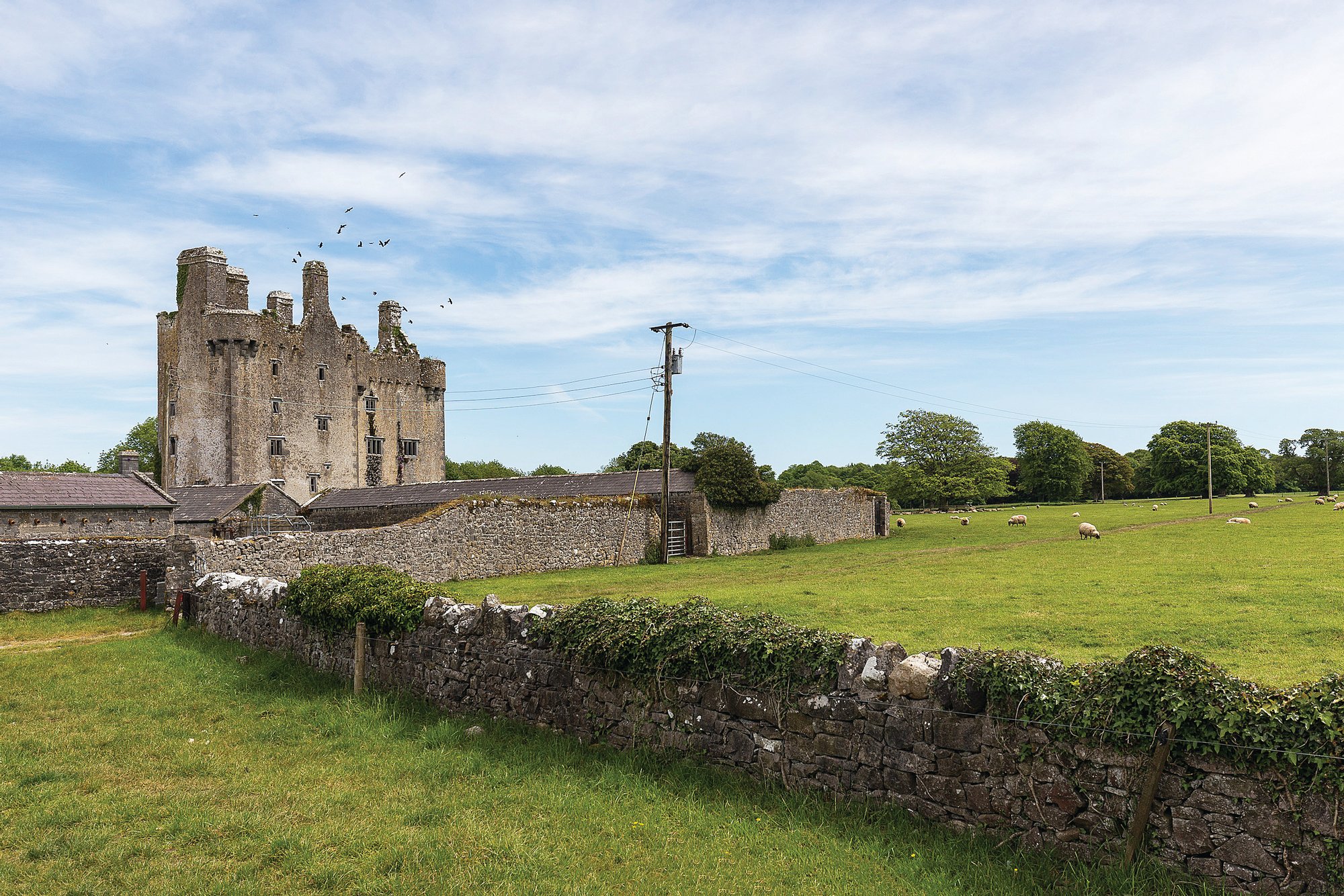 The Sopwell Hall Estate In Ballingarry, Ireland For Sale (11126127)