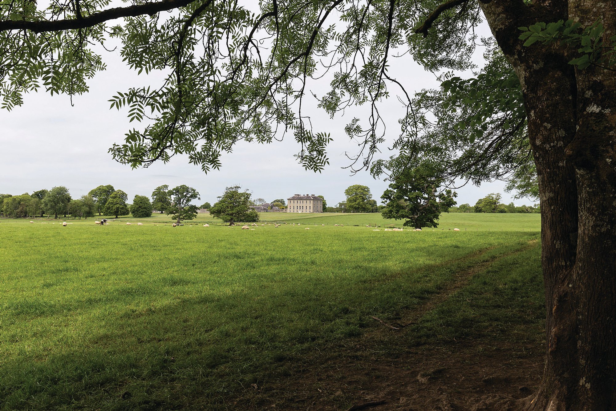 The Sopwell Hall Estate In Ballingarry, Ireland For Sale (11126127)