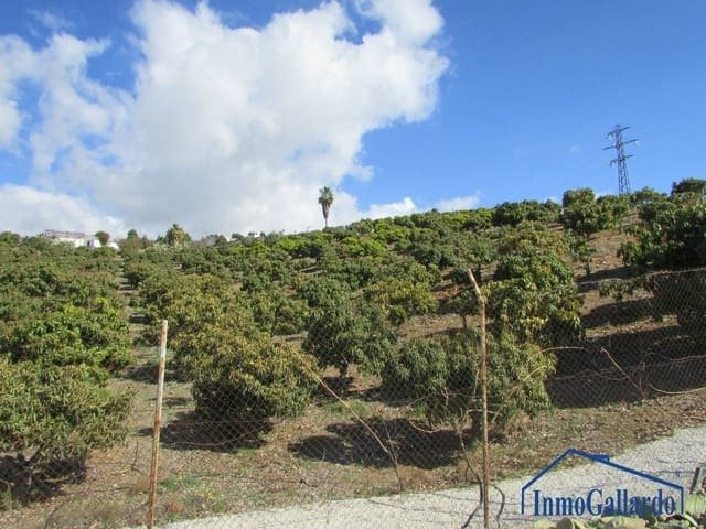 Altro a Benajarafe, Vélez-Málaga, Andalusia 2 - 11139858