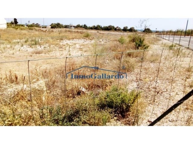 Andere in Torrox, Andalusien, Spanien 4 - 11139872