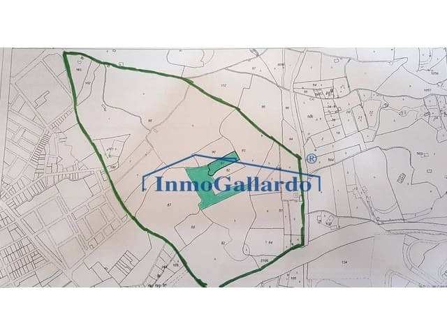 Velez-Malaga, Andalusia, Spain 4 - 11139875
