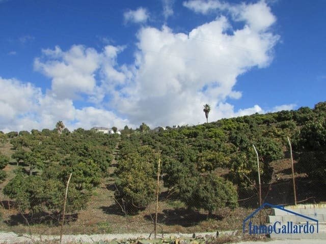 Altro a Benajarafe, Vélez-Málaga, Andalusia 5 - 11139858