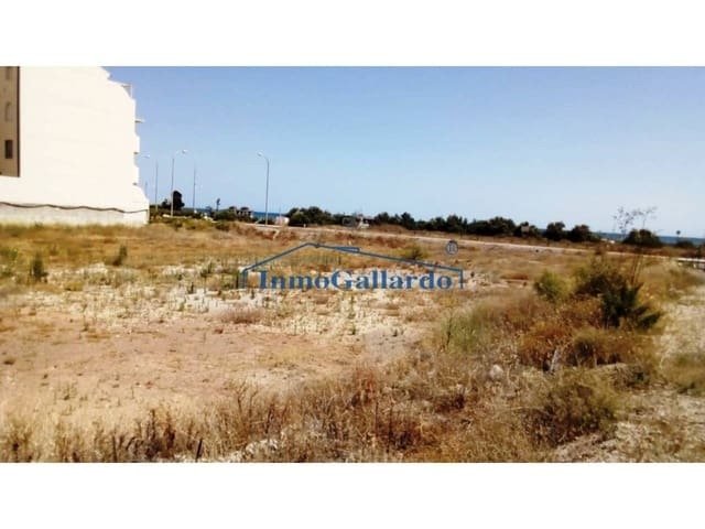 Andere in Torrox, Andalusien, Spanien 5 - 11139872