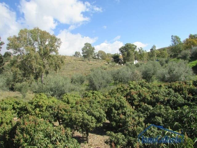 Altro a Benajarafe, Vélez-Málaga, Andalusia 1 - 11139858