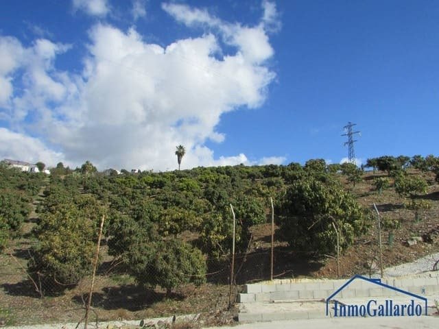 Altro a Benajarafe, Vélez-Málaga, Andalusia 4 - 11139858