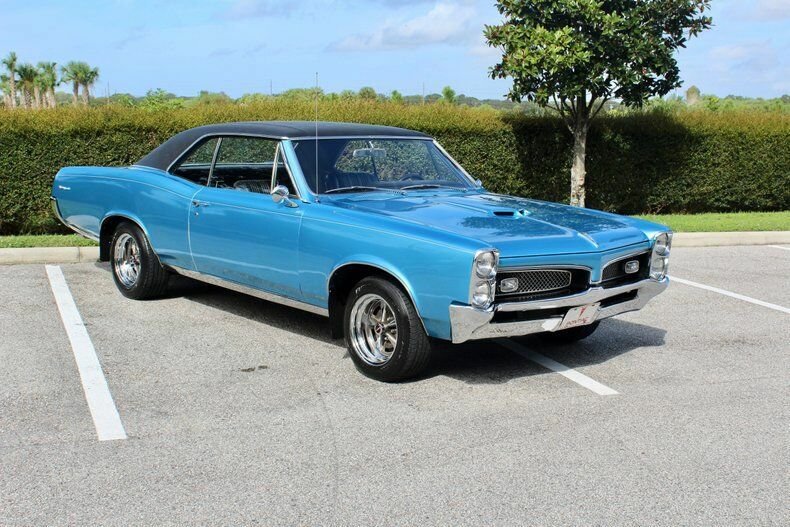 Station Estate Wagon in Sarasota, Florida, United States 3 - 11145693