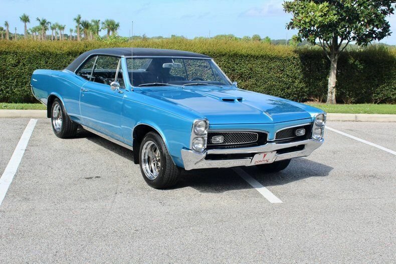 Station Estate Wagon in Sarasota, Florida, United States 4 - 11145693