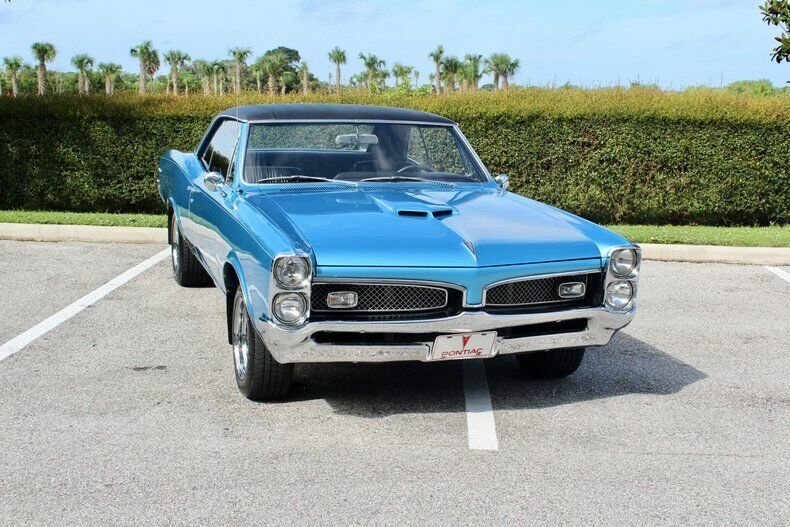 Station Estate Wagon in Sarasota, Florida, United States 5 - 11145693