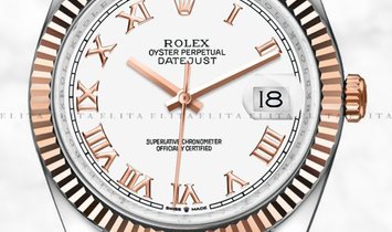 Rolex Datejust 36 126231-0016 Everose Rolesor White Dial  Roman Numerals Oyster Bracelet