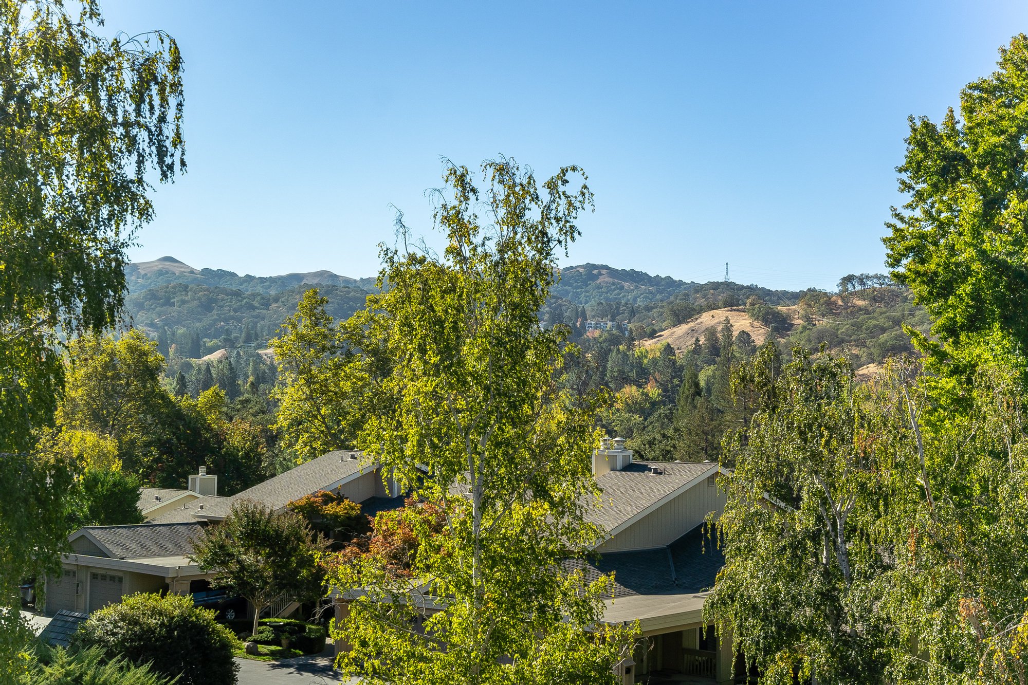 Spacious Rossmoor Condo Offers Tranquil Views in Walnut Creek, CA