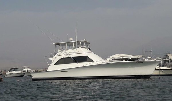 Ocean Yachts Sport Fish (11174878)