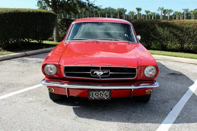 Cabriolet in Sarasota, Florida, United States 5 - 11201173