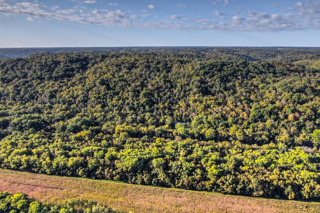 Land in Foster, Kentucky, United States 5 - 11213565