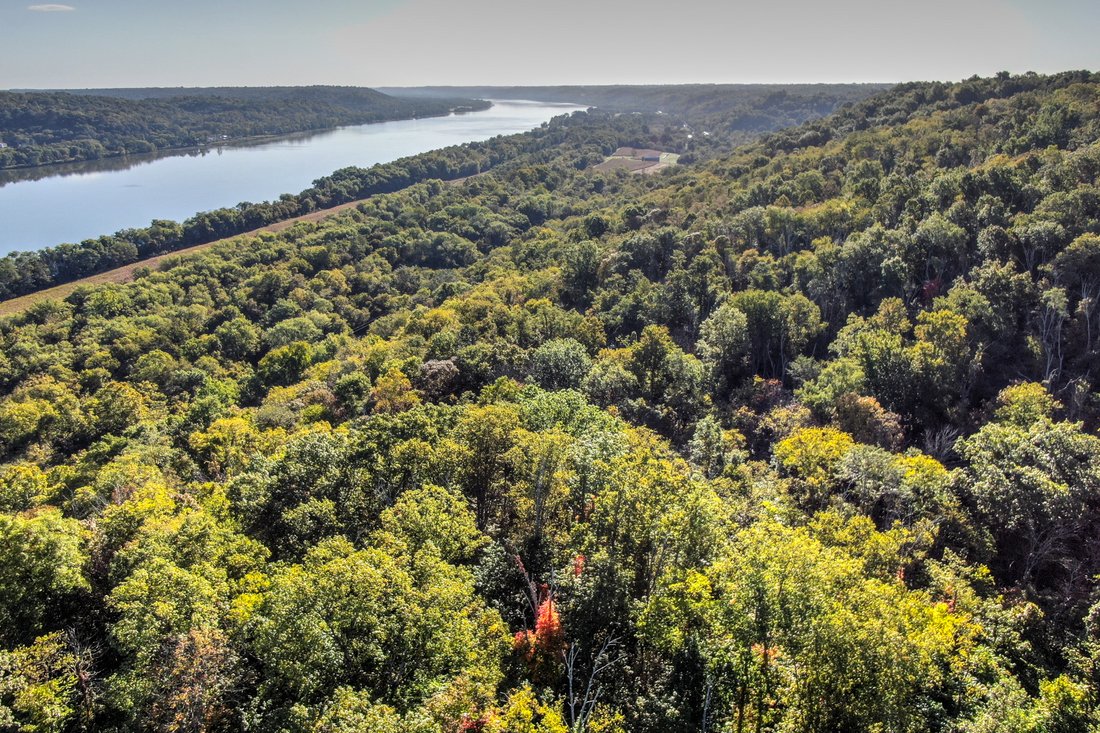 Land in Foster, Kentucky, United States 1 - 11213565