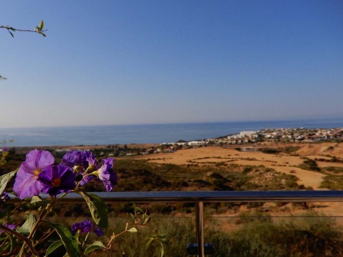 Villa in Paphos, Paphos, Cyprus 5 - 11230173