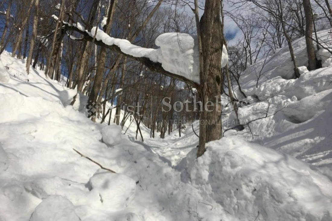 Niseko Resort In Kutchan, Hokkaido, Japan For Sale (11249949)